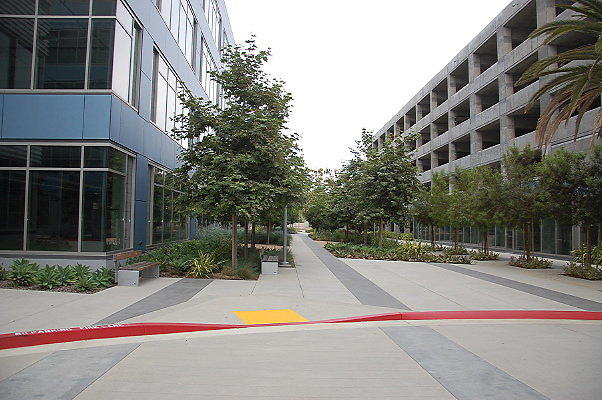 DSC 0212
