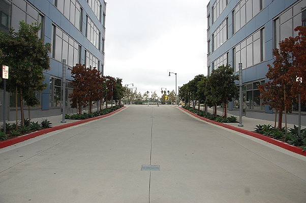 DSC 0219