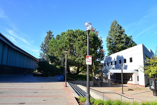 DSC 5207