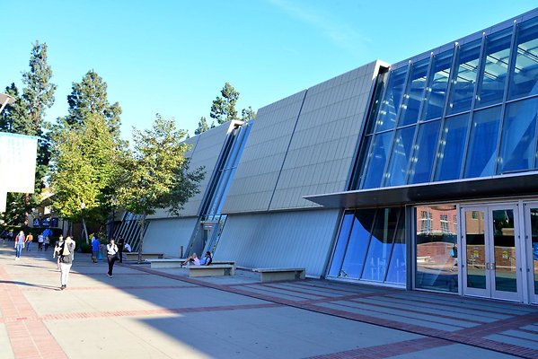 DSC 5196