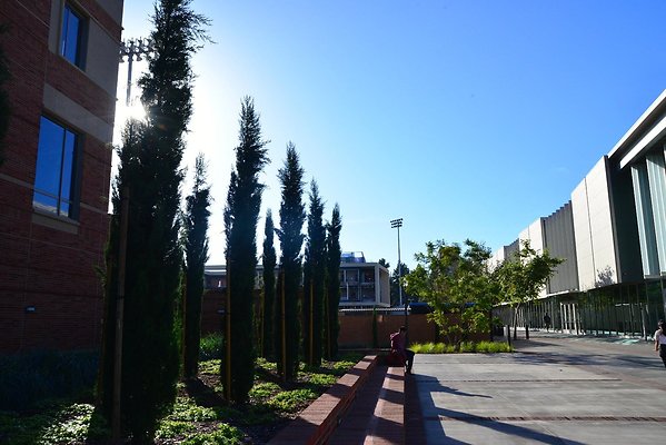 DSC 5205