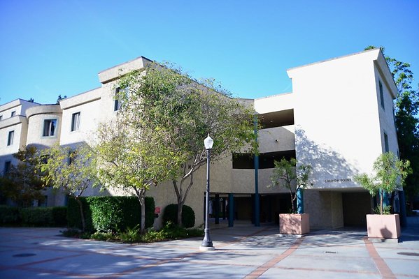 DSC 5151