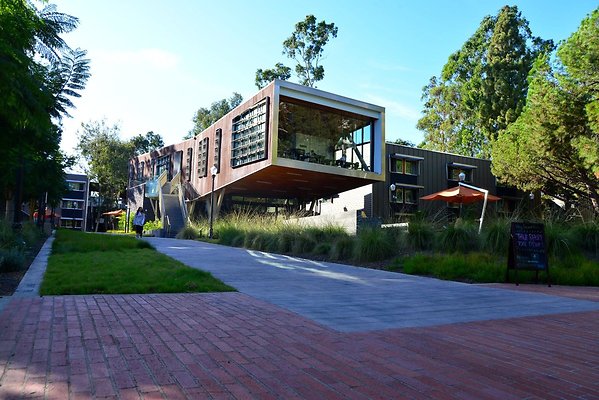 DSC 5175