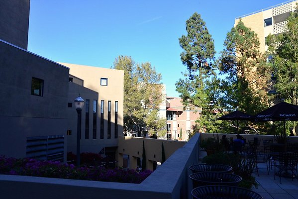 DSC 5162
