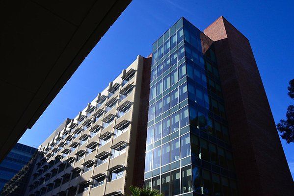 DSC 5169