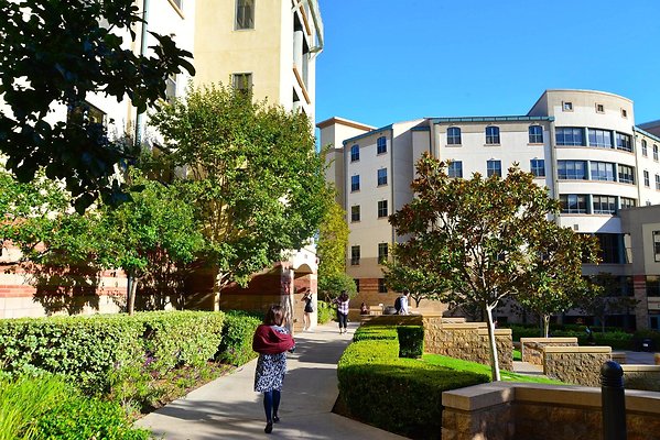 DSC 5181