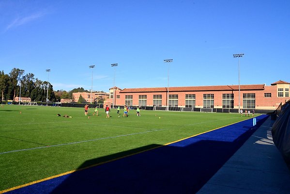 DSC 5193