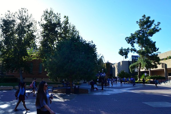 DSC 5216
