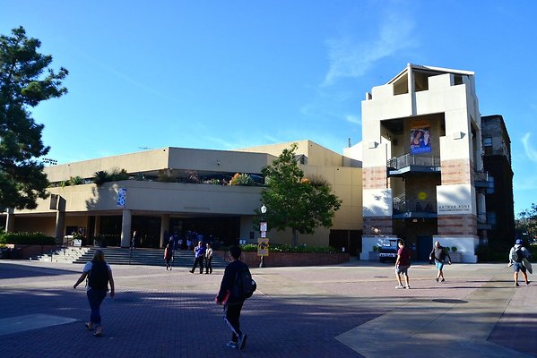 DSC 5217