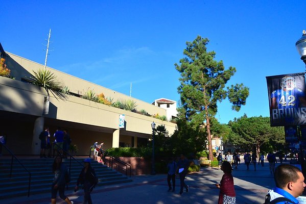 DSC 5214
