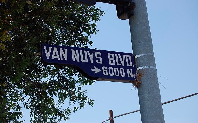 DSC 0101