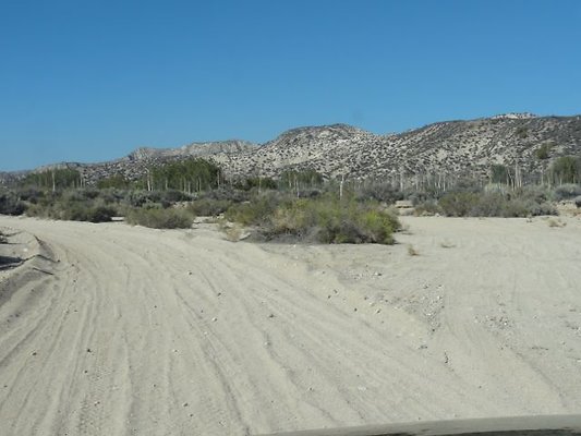 DSC09595