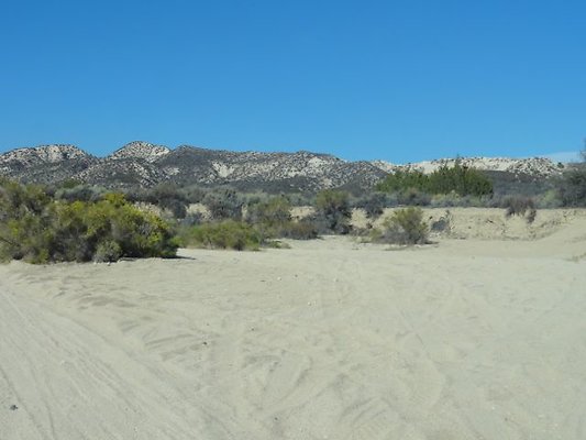 DSC09589