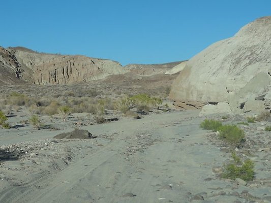 DSC09557