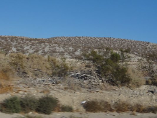 DSC07921