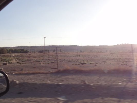 DSC07955