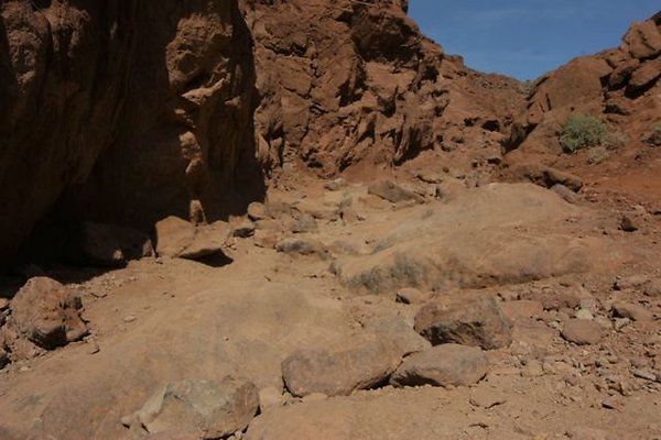 res IMG 8991 res IMG 8991