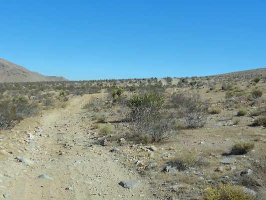 DSC09161