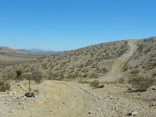 DSC09175