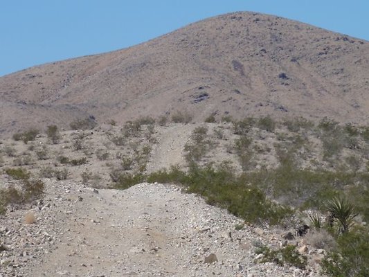 DSC09201