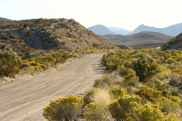 res IMG 0384