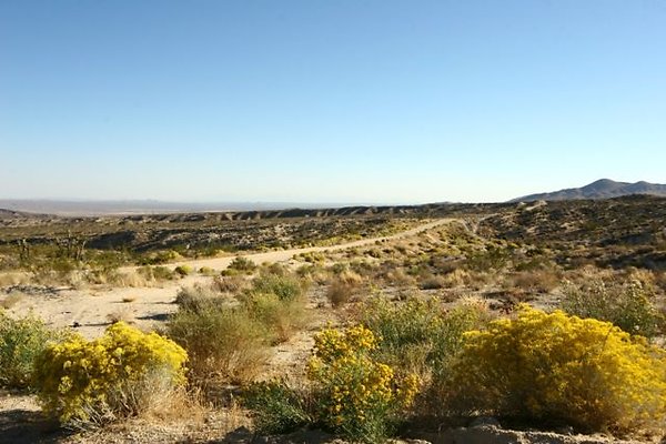 res IMG 0377