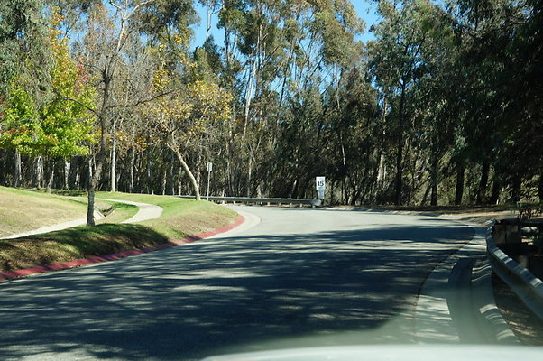 DSC00251