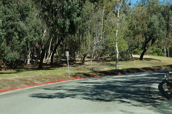 DSC00250