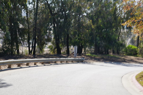 DSC00266