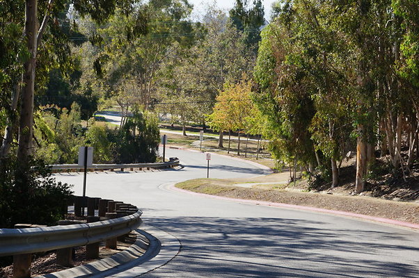 DSC00270
