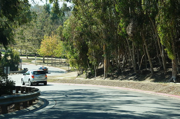 DSC00269