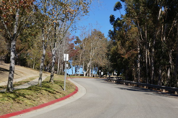 DSC00253