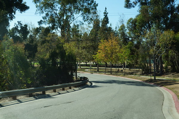 DSC00275