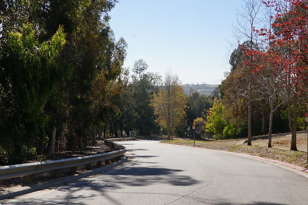 DSC00263