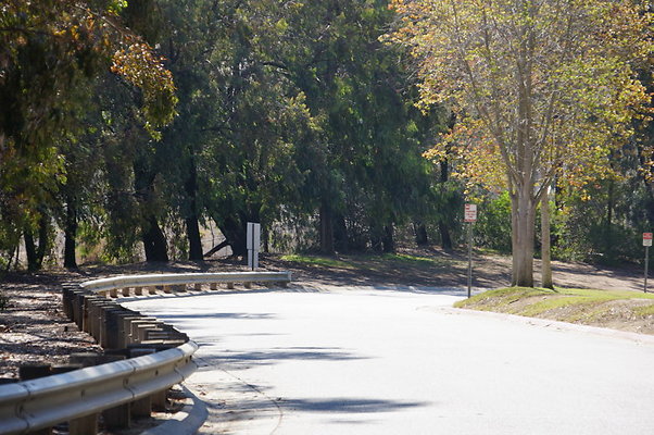 DSC00264