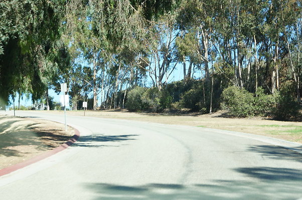 DSC00256
