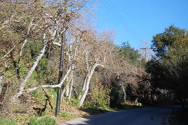 DSC 0046