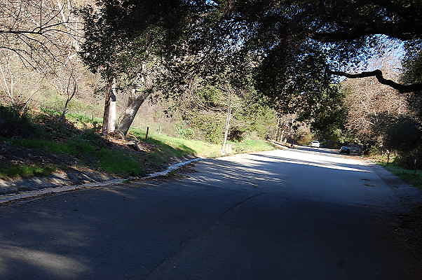DSC 0040