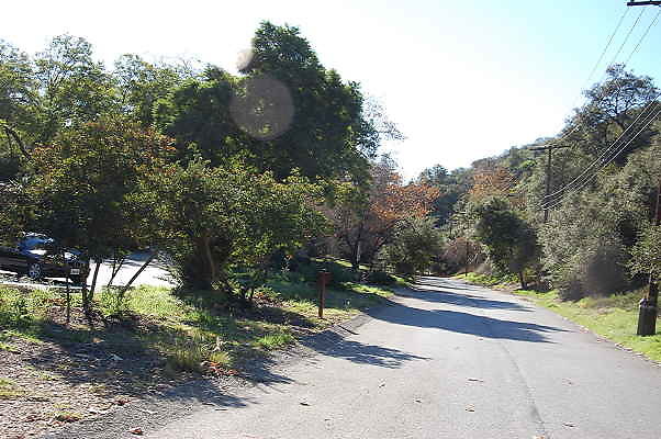 DSC 0028