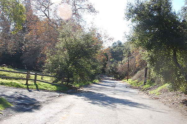 DSC 0029