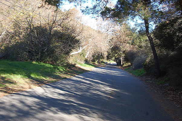 DSC 0037
