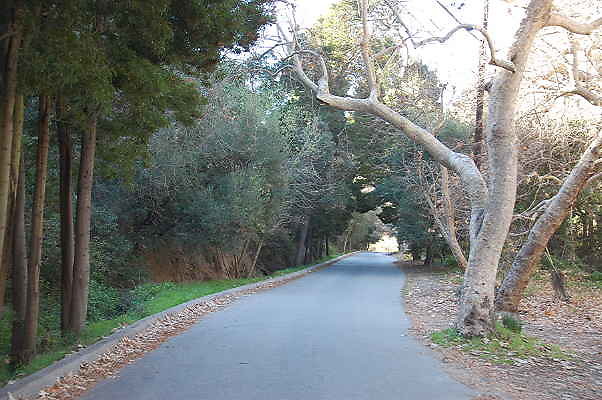 DSC 0006