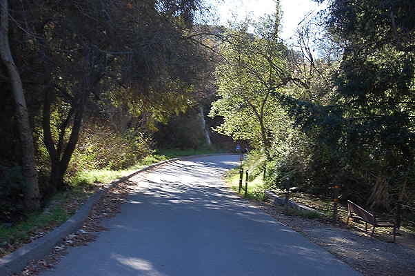 DSC 0013