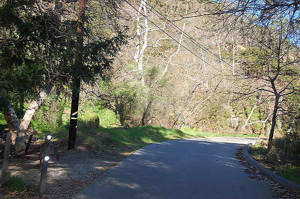 DSC 0045