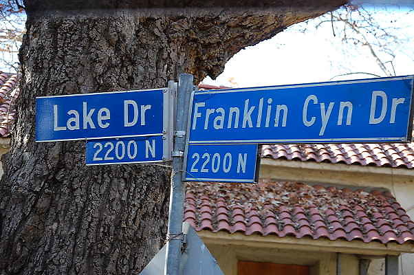 DSC 0003