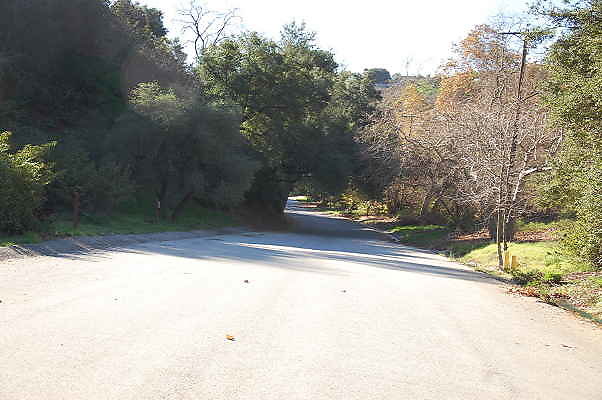 DSC 0018