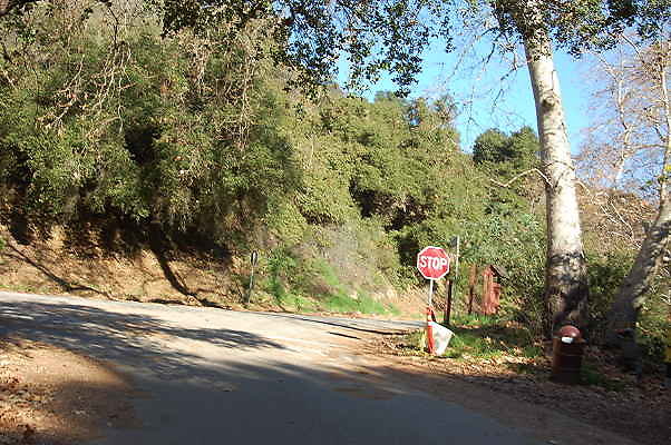 DSC 0053