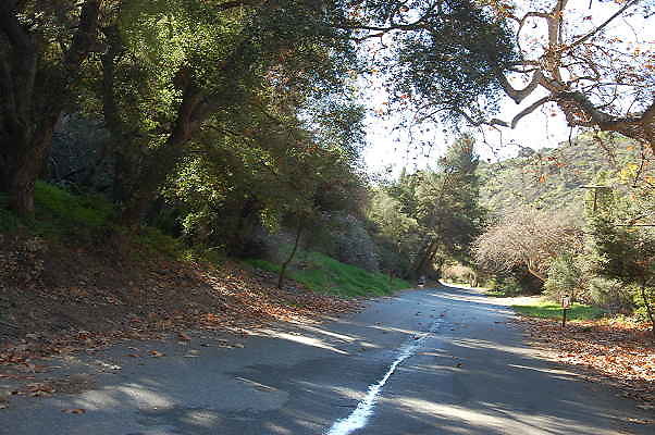 DSC 0021