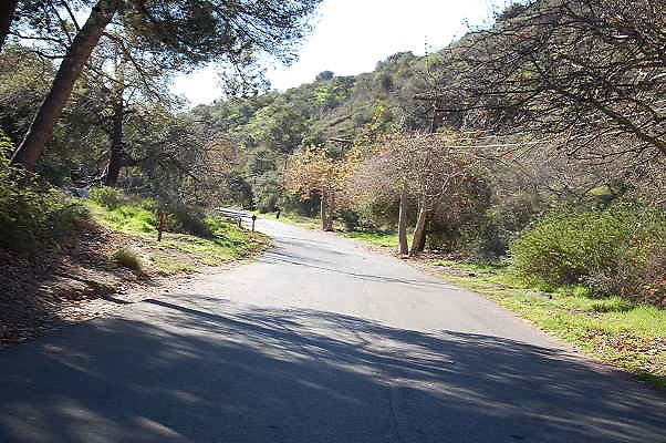 DSC 0026