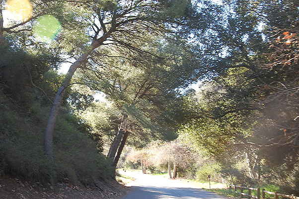 DSC 0025